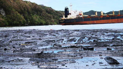 Kangava Bay oil spill case served overseas / le 23.10.2025 | Pollution accidentelle des eaux (+ déchets plastiques) | Scoop.it