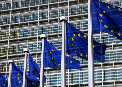 CSDDD: EU's due diligence law vote should drive supply chain sustainability efforts | Supply chain News and trends | Scoop.it