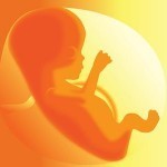 Les pesticides dans l’eau potable freinent la croissance des foetus | Enviro2B | Toxique, soyons vigilant ! | Scoop.it