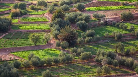 EUROPE and MOROCCO Sign Deal to Develop Sustainable Agriculture | CIHEAM Press Review | Scoop.it