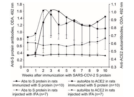 Autoimmune Reactions to ACE2 Triggered by SARS-CoV-2 S Protein Immunization | Virus World | Scoop.it