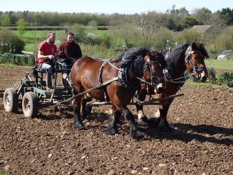 L’Atelier Paysan : un bilan impressionnant, une croissance exponentielle, et toujours autant de projets | Innovation sociale | Scoop.it