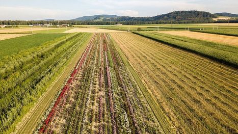 L'agroécologie veut étendre ses champs d'exploitation | Chimie verte et agroécologie | Scoop.it