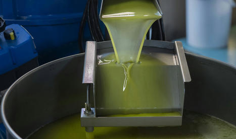 Turkey suspends exports of olive oil after drought increases European demand | CORPS GRAS | Scoop.it