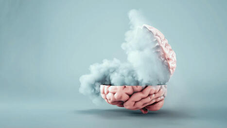 Scientists finally reveal what’s behind long COVID’s mysterious brain fog | Virology News | Scoop.it
