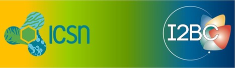 First ICNS/I2BC Morning-Meeting February 8th at 9.30 a.m | I2BC Paris-Saclay | Scoop.it