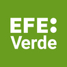 Las noticias y el periodismo ambiental de EFEverde.com