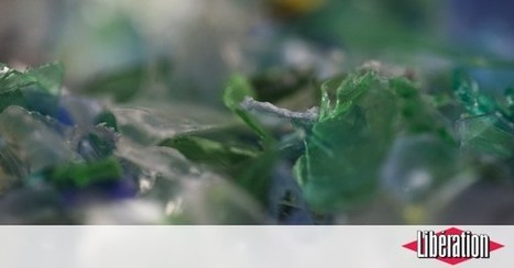 Des microplastiques jusque dans les entrailles des oc&eacute;ans - Lib&eacute;ration / le 27.02.2019 | Pollution accidentelle des eaux (+ d&eacute;chets plastiques) | Scoop.it