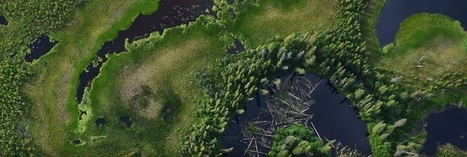 Alaska's 'Hidden' Forests Captured in Unprecedented Detail (Photo) | Fantastic Maps | Scoop.it