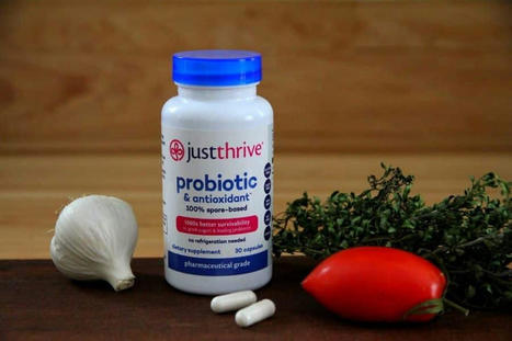 Finding the Best Probiotic to Aid Digestion for Diabetics - Spore Based | Diabetes Knowledge | Scoop.it