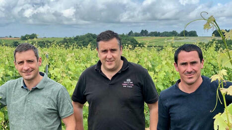 Malgré les doutes, ce domaine s’est converti en bio : « Au début, c’était chaud » - Ouest France [Abonnés] | Agriculture en Pays de la Loire | Scoop.it