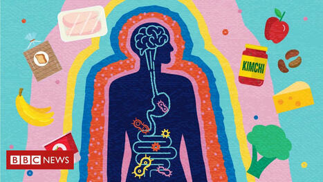 Os melhores alimentos para o intestino (e para a sua vitalidade) | Inovação Educacional | Scoop.it