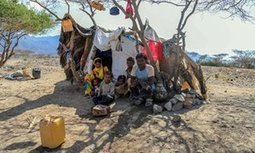 Famine looms in four countries as aid system struggles to cope | AFRIQUES | Scoop.it
