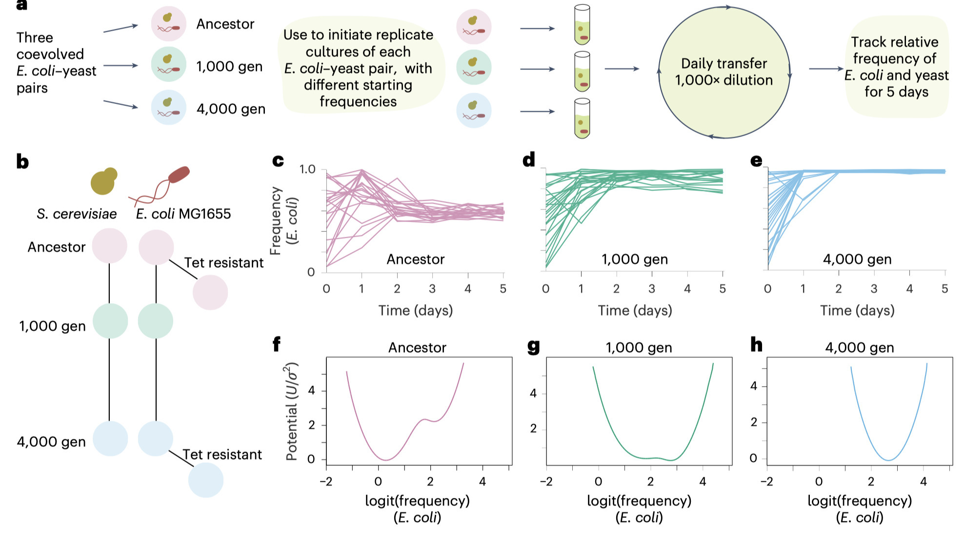 Evolutionary shift of a tipping point can preci...