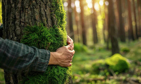 Le Championnat du Monde des étreintes d'arbres : une symbiose entre l'homme et la nature | Entreprises et territoires alpins : Métamorphoses, innovations , entreprenariat | Scoop.it
