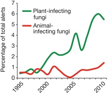 Nature: Emerging fungal threats to animal, plant and ecosystem health (Sub.required) | Plant Biology Teaching Resources (Higher Education) | Scoop.it