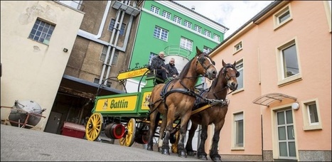 Bi&egrave;re au Luxembourg - Battin se veut &agrave; cheval sur les livraisons de bi&egrave;res | Cheval et Nature | Scoop.it