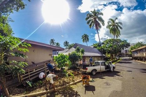 How Urban Farming Could Change Hawaii | Peer2Politics | Scoop.it