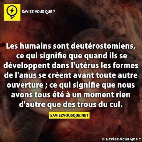 Les humains sont deutérostomiens, ce qui signifie que quand ils se développent dans l’utérus les formes de l’anus se créent avant toute autre ouverture ; ce qui signifie que nous avons tous été à u... | Meilleure revue de presse de l'univers connu | Scoop.it