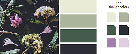 15 vibrant color scheme apps that make design simple - The Creative Edge | Top Social Media Tools | Scoop.it