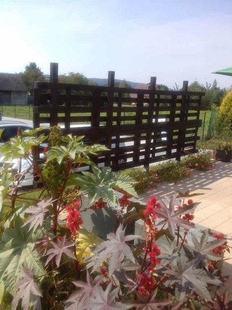 Pallets Fence | 1001 Pallets ideas ! | Scoop.it