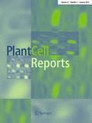Editorial: epigenetic regulation of plant development and stress responses | Plant & environmental stress | Scoop.it
