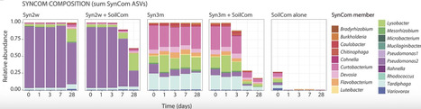 Habitat filtering more than microbiota origin controls microbiome transplant outcomes in soil | isme | RMH | Scoop.it