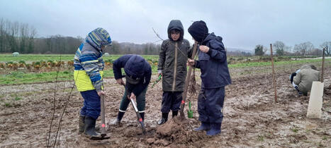 Des &eacute;coliers ont plant&eacute; pr&egrave;s de 300 arbres pr&egrave;s de Dieppe | Une semaine d'actu - Newsletter de veille de l'AURH | Scoop.it