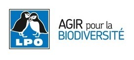 25 et 26 janvier 2014 : Rendez-vous au jardin pour y compter les oiseaux | Paysage - Agriculture | Scoop.it