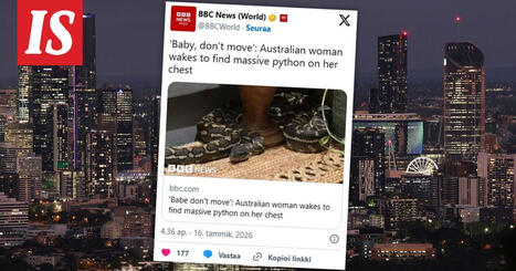 Australialaisnainen her&auml;si 2,5-metrinen pyton rinnallaan | 1Uutiset - Lukemisen t&auml;hden | Scoop.it