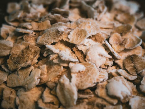 Le MAROC esp&egrave;re r&eacute;colter au terme de la campagne 2025/2026, 9 millions de tonnes de c&eacute;r&eacute;ales soit le double qu&rsquo;en 2025 | CIHEAM Press Review | Scoop.it