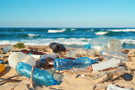 EU calls for global ban on some plastic products to fight pollution - European Commission | The EcoPlum Daily | Scoop.it