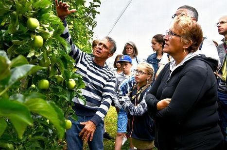 Les pomiculteurs font visiter leurs vergers - La Montagne | Agriculture et communication positive | Scoop.it