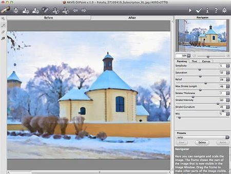 Akvis OilPaint 2.0 | PhotographyBLOG | Photo Editing Software and Applications | Scoop.it