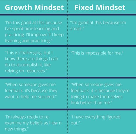 How to Build an SRE Team with a Growth Mindset | Devops for Growth | Scoop.it