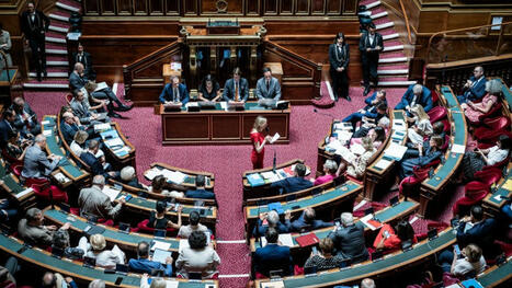 Fin de vie : "On ne crée pas une loi à partir d’une exception", affirme le Dr Bernard-Marie Dupont | RCF | Fin de vie et Soins palliatifs | Scoop.it