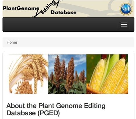 Resource: Plant Genome Editing Database (2018) | Plants and Microbes | Scoop.it