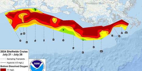 Gulf ‘dead zone’ is larger than average this year, the size of New Jersey - Raw Story | Operation Deimos | Scoop.it