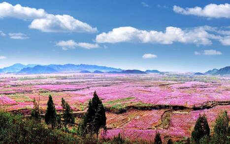 CHINA: Plan to dominate global food supply chains&nbsp; | ASIES | Scoop.it