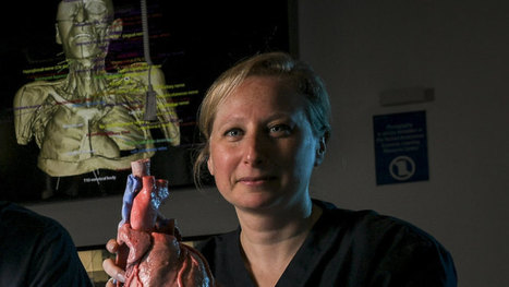 Buster, the perfect human made of plastic, is the future of anatomy | Simulation in Health Sciences Education | Scoop.it