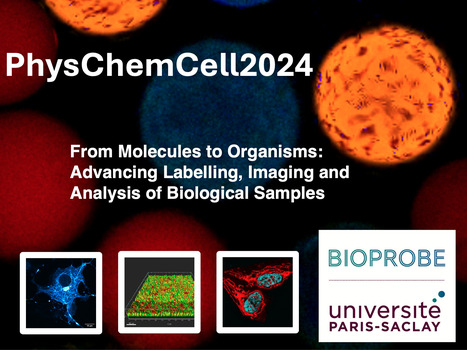 From Molecules to Organisms: Advancing Labelling, Imaging and Analysis of Biological Samples | I2BC Paris-Saclay | Scoop.it
