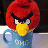 What Can Angry Birds Teach Us About Universal Design for Instruction? | UDL - Universal Design for Learning | Scoop.it