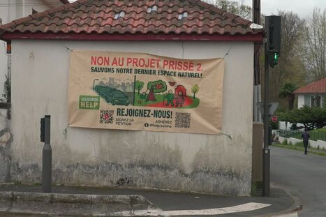 "Ils vont encore tout b&eacute;tonner" : un projet immobilier sur un espace bois&eacute; fait pol&eacute;mique &agrave; Bayonne | Actus du jour - 7 avril  2026 | Scoop.it