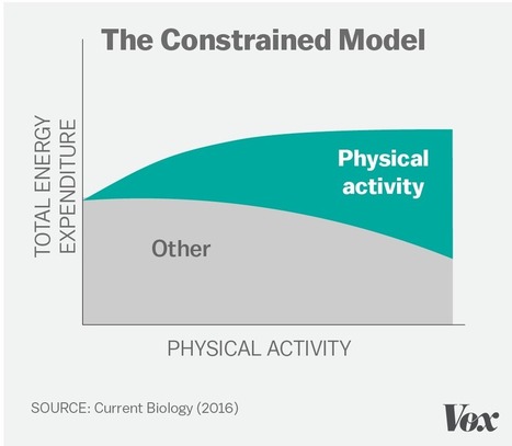 Why you shouldn't exercise to lose weight, explained with 60+ studies | #eHealthPromotion, #SaluteSocial | Scoop.it