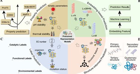 Integrative machine learning approaches for enzyme kinetic parameter prediction | bft | RMH | Scoop.it