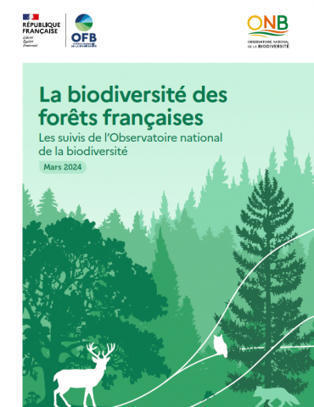 La biodiversité des forêts françaises - Observatoire national de la biodiversité | Veille Centre de Ressources | Scoop.it