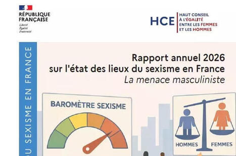 Rapport 2026 sur l'&eacute;tat des lieux du sexisme en France : la menace masculiniste | Bulletin des biblioth&egrave;ques de France | Veille pour les concours des biblioth&egrave;ques | Scoop.it