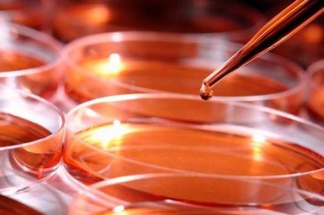 Reprogramming bacteria DNA may reverse antibiotic resistance | In-Vitro Diagnostic | Scoop.it