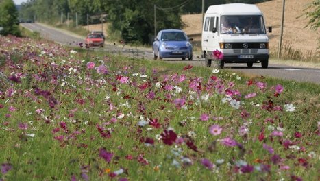 [INP-Recherche] Agriculture : à Pibrac, la place de la biodiversité | InMédias | Scoop.it