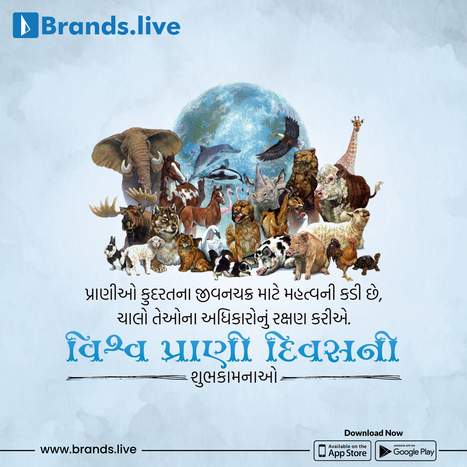 વિશ્વ પશુ કલ્યાણ દિવસ: તે શું છે અને તમે કેવી રીતે મદદ કરી શકો | Brands.live | Scoop.it